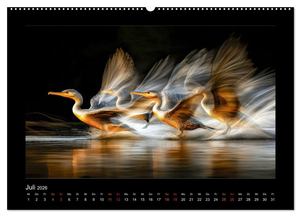 Wundervolle Augenblicke (CALVENDO Premium Wandkalender 2026)