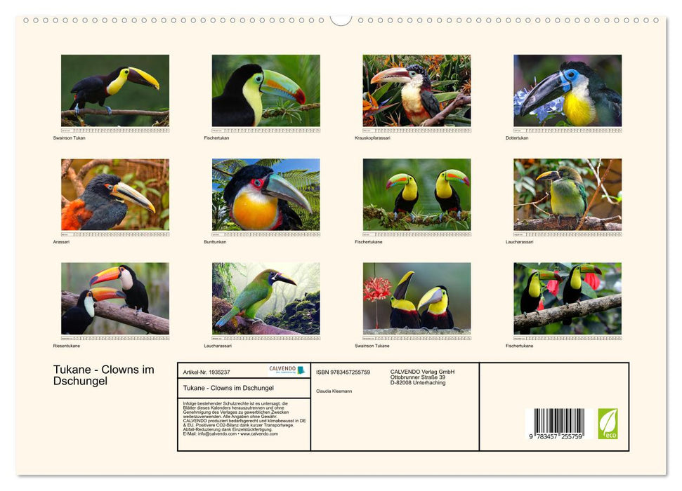 Tukane - Clowns im Dschungel (CALVENDO Premium Wandkalender 2026)