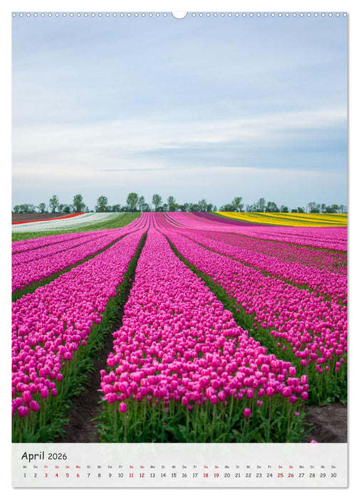 Sachsen-Anhalt - Entdecke die Schönheit in der Mitte Deutschlands (CALVENDO Wandkalender 2026)