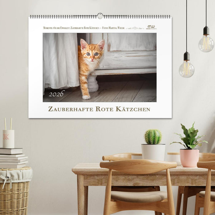 Zauberhafte rote Kätzchen (CALVENDO Wandkalender 2026)