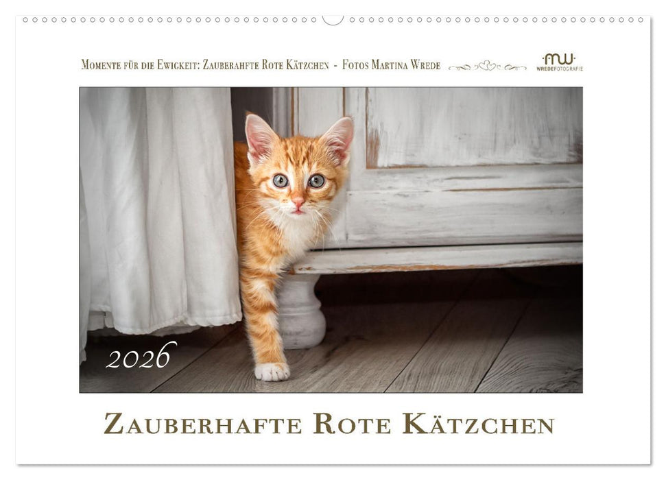 Zauberhafte rote Kätzchen (CALVENDO Wandkalender 2026)
