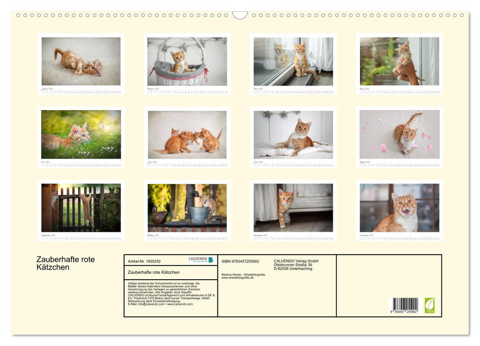 Zauberhafte rote Kätzchen (CALVENDO Wandkalender 2026)