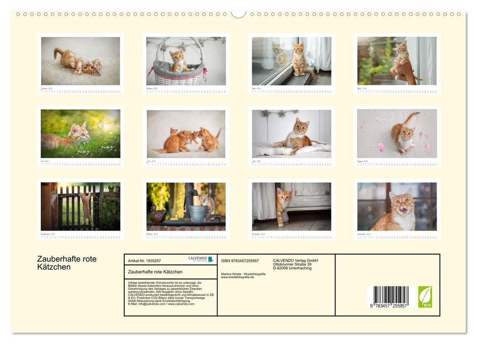 Zauberhafte rote Kätzchen (CALVENDO Premium Wandkalender 2026)