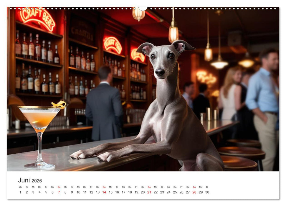 Funny Greyhounds - Windhunde mal anders (CALVENDO Premium Wandkalender 2026)