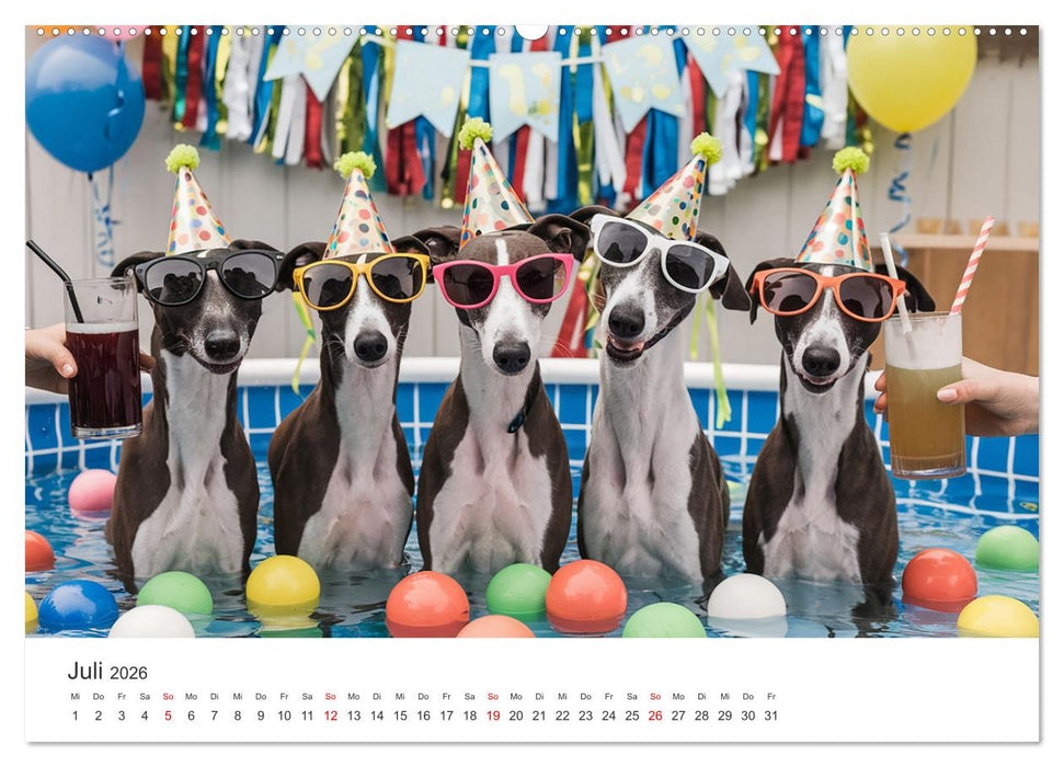Funny Greyhounds - Windhunde mal anders (CALVENDO Premium Wandkalender 2026)