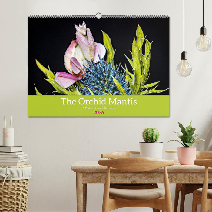 The Orchid Mantis (CALVENDO Monthly Calendar 2026)