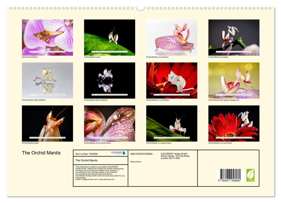 The Orchid Mantis (CALVENDO Premium-Calendar 2026)