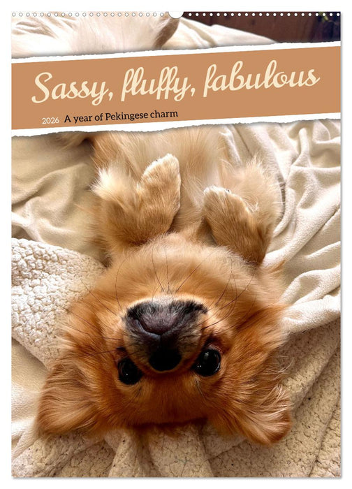 Sassy, fluffy, fabulous – A year of Pekingese charm (CALVENDO Monthly Calendar 2026)