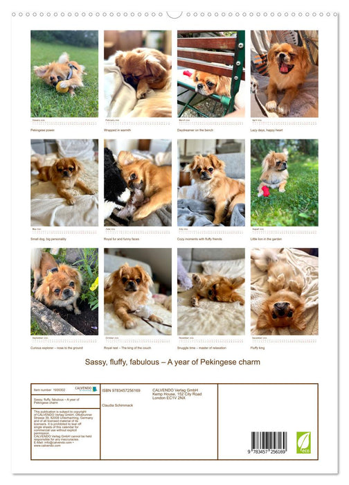 Sassy, fluffy, fabulous – A year of Pekingese charm (CALVENDO Premium-Calendar 2026)