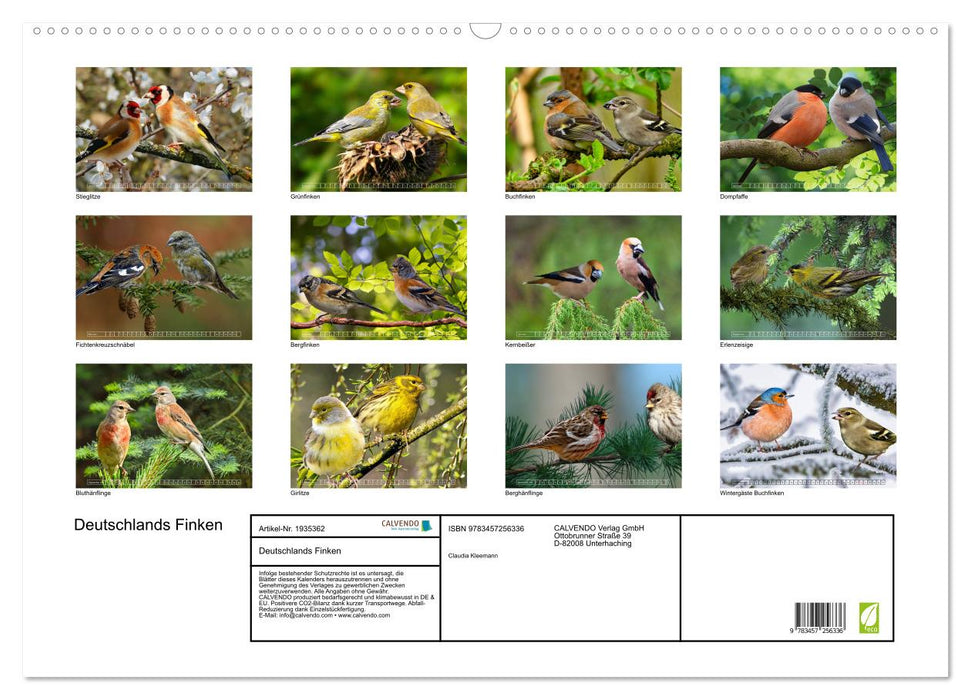 Deutschlands Finken (CALVENDO Wandkalender 2026)