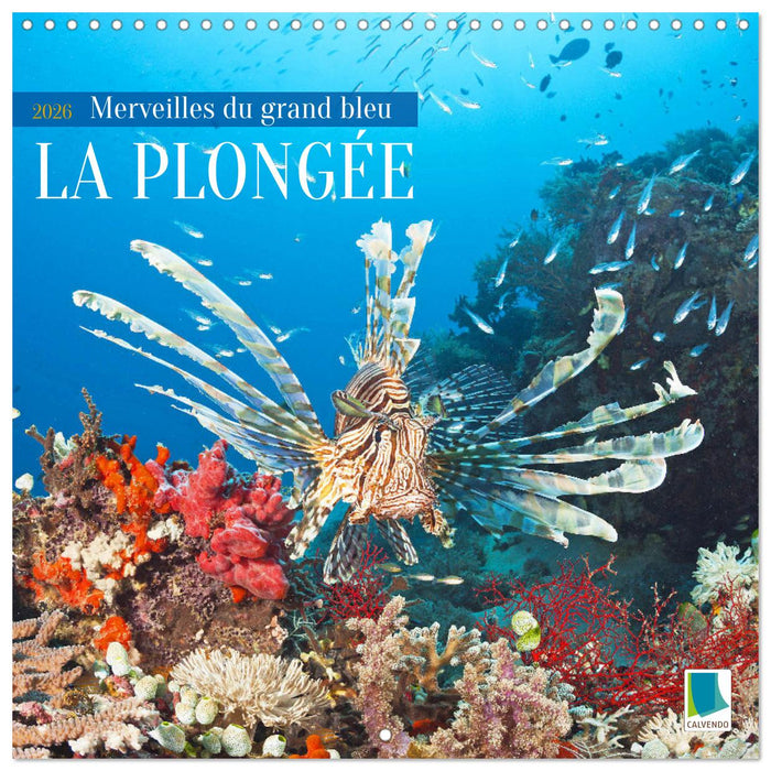 La plongée : merveilles du grand bleu (CALVENDO Calendrier mensuel 2026)