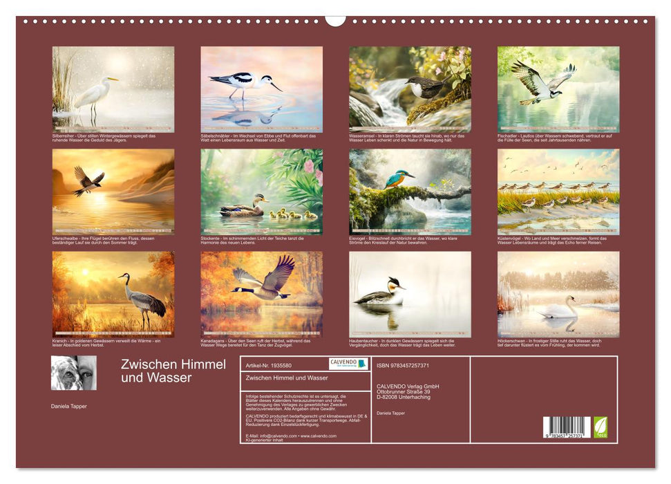 Zwischen Himmel und Wasser (CALVENDO Wandkalender 2026)