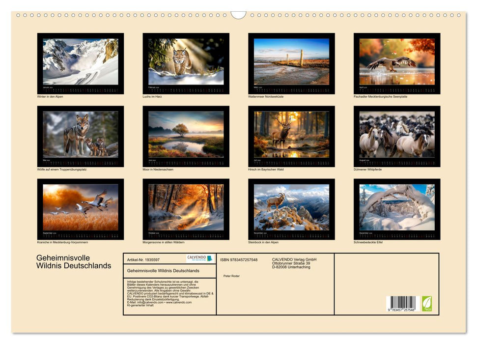 Geheimnisvolle Wildnis Deutschlands (CALVENDO Wandkalender 2026)