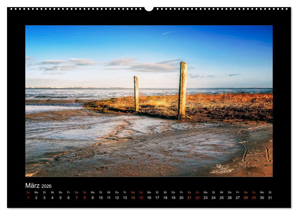 Geheimnisvolle Wildnis Deutschlands (CALVENDO Wandkalender 2026)