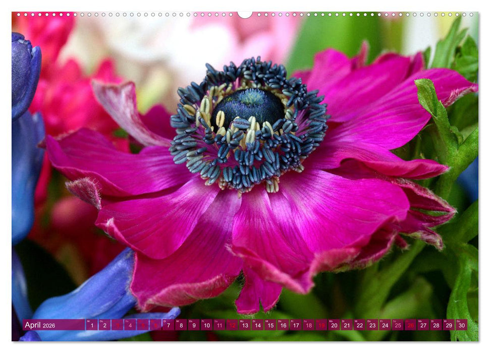 Blumen - Eine bunte Mischung (CALVENDO Premium Wandkalender 2026)
