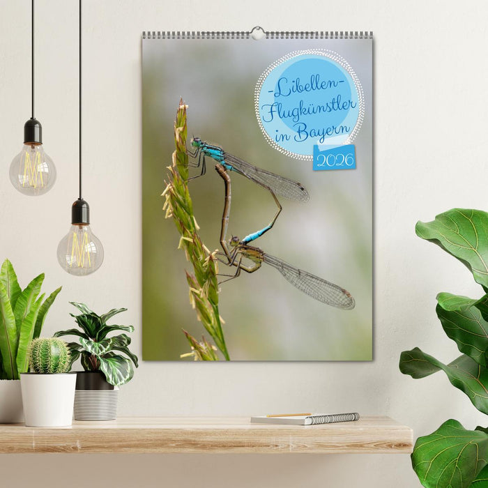 Libellen - Flugkünstler in Bayern (CALVENDO Wandkalender 2026)