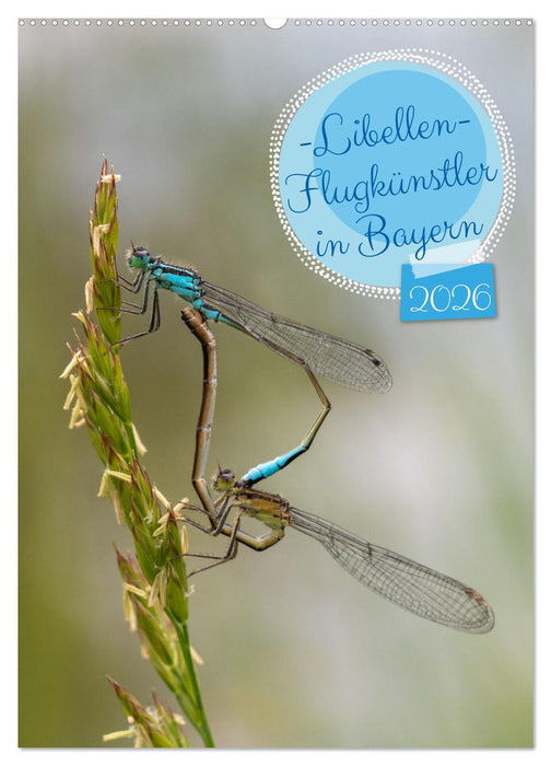 Libellen - Flugkünstler in Bayern (CALVENDO Wandkalender 2026)