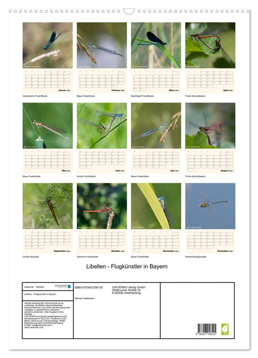Libellen - Flugkünstler in Bayern (CALVENDO Wandkalender 2026)