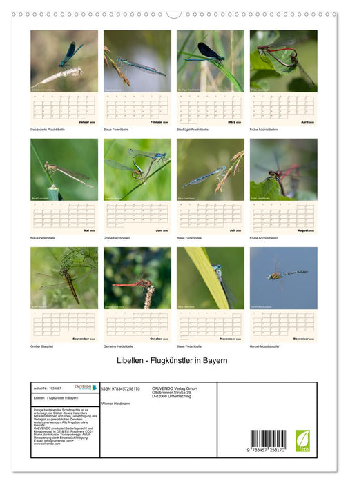 Libellen - Flugkünstler in Bayern (CALVENDO Premium Wandkalender 2026)