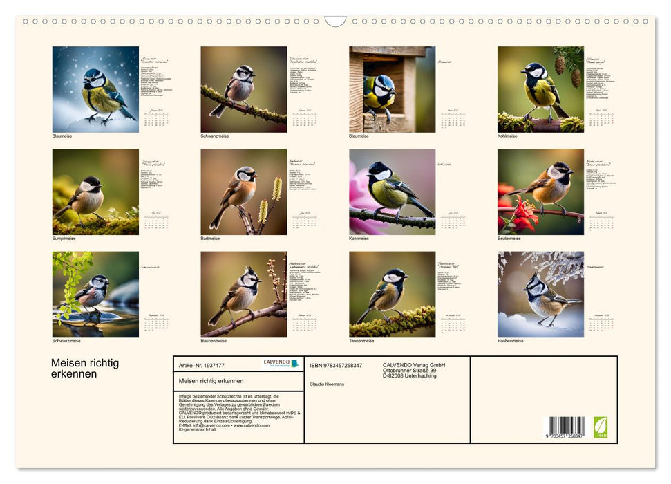 Meisen richtig erkennen (CALVENDO Wandkalender 2026)
