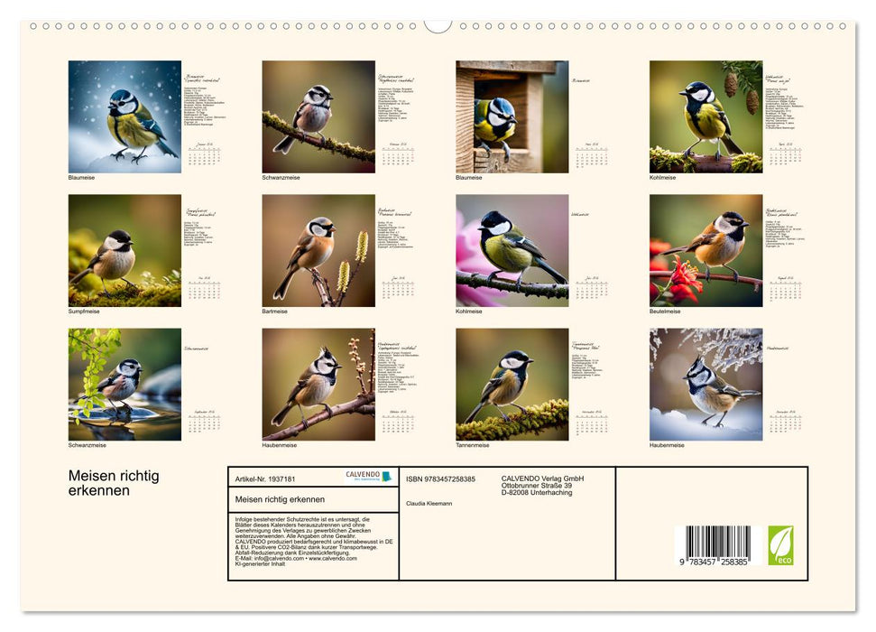 Meisen richtig erkennen (CALVENDO Premium Wandkalender 2026)