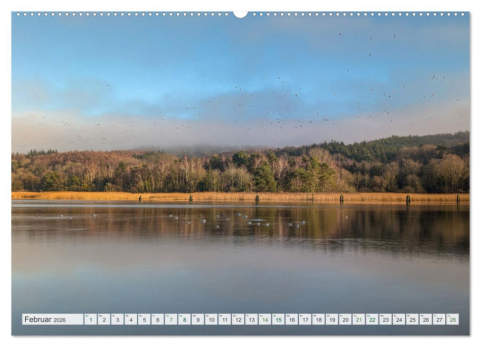 Rügenliebe 2026 (CALVENDO Premium Wandkalender 2026)