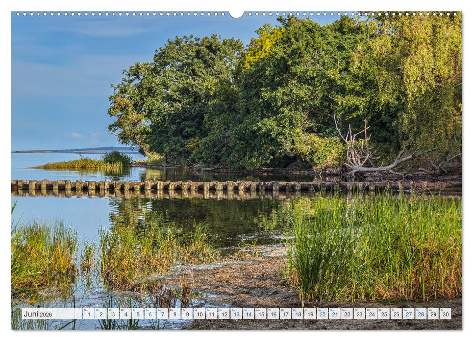 Rügenliebe 2026 (CALVENDO Premium Wandkalender 2026)