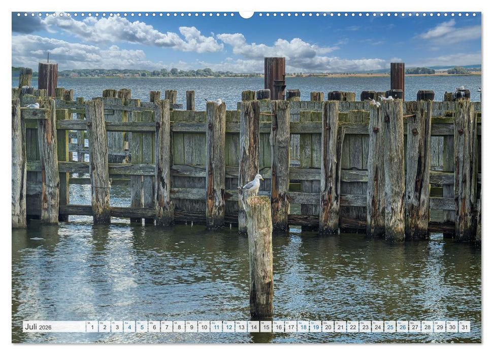 Rügenliebe 2026 (CALVENDO Premium Wandkalender 2026)