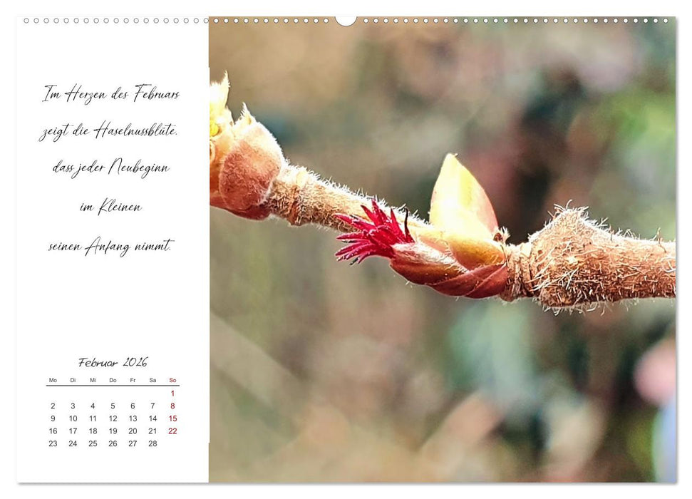 Der Atem der Stille - Achtsame Augenblicke in der Natur (CALVENDO Wandkalender 2026)