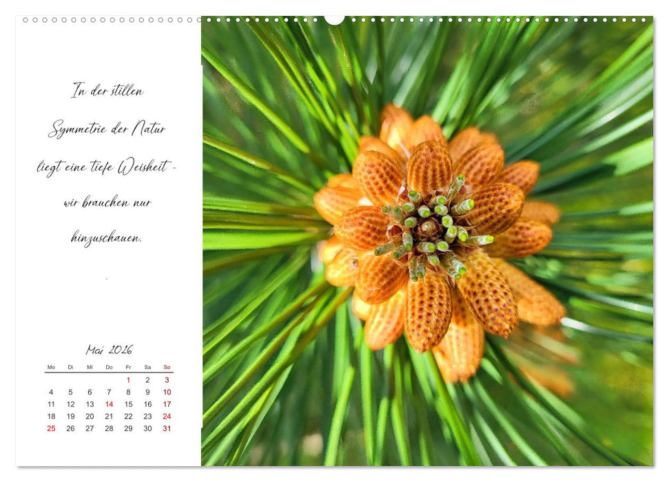 Der Atem der Stille - Achtsame Augenblicke in der Natur (CALVENDO Wandkalender 2026)