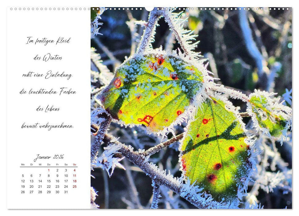 Der Atem der Stille - Achtsame Augenblicke in der Natur (CALVENDO Premium Wandkalender 2026)