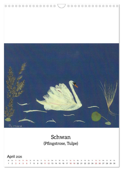 Natürlich Natur - Gepresste Blüten erwachen zum Leben (CALVENDO Wandkalender 2026)