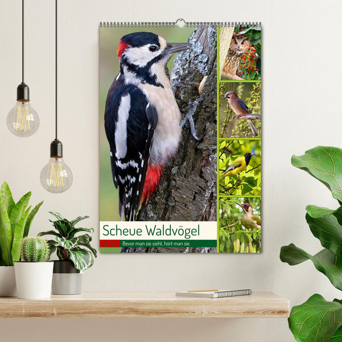 Scheue Waldvögel (CALVENDO Wandkalender 2026)
