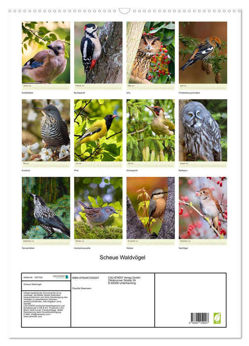 Scheue Waldvögel (CALVENDO Wandkalender 2026)