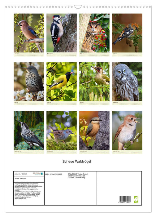 Scheue Waldvögel (CALVENDO Wandkalender 2026)