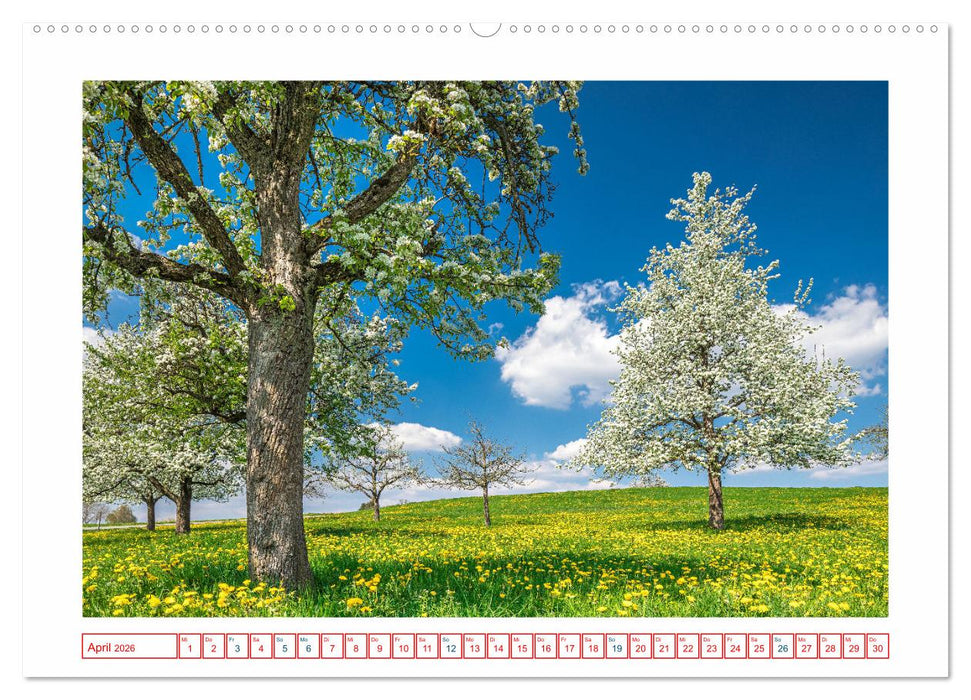 Stahringen im Hegau (CALVENDO Premium Wandkalender 2026)