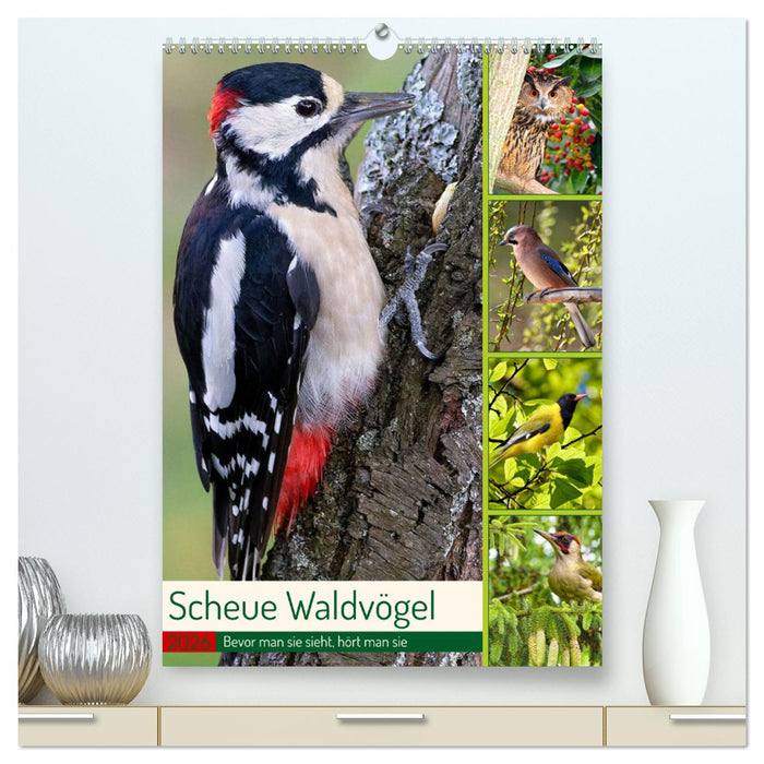 Scheue Waldvögel (CALVENDO Premium Wandkalender 2026)