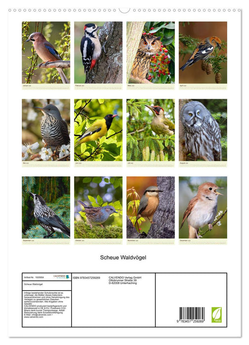 Scheue Waldvögel (CALVENDO Premium Wandkalender 2026)
