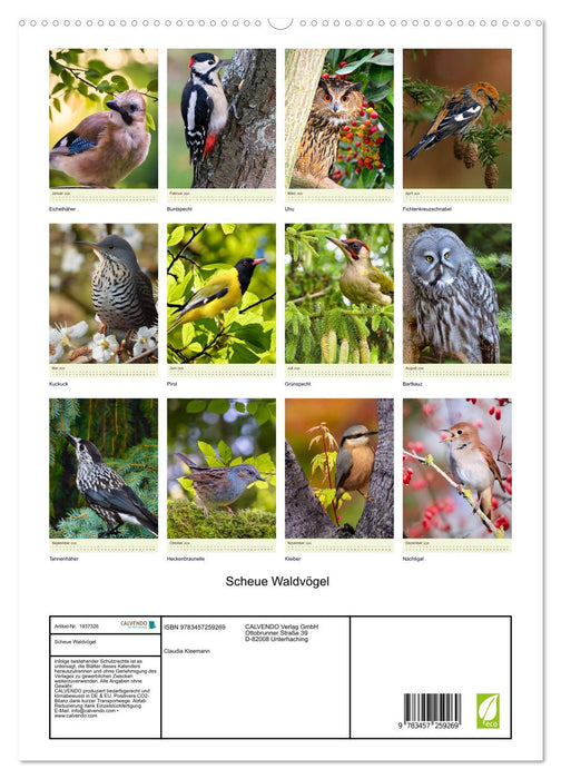 Scheue Waldvögel (CALVENDO Premium Wandkalender 2026)