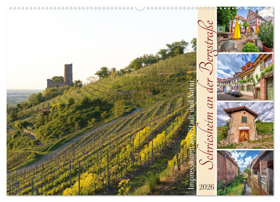 Schriesheim an der Bergstraße - Impressionen aus Stadt und Natur (CALVENDO Wandkalender 2026)