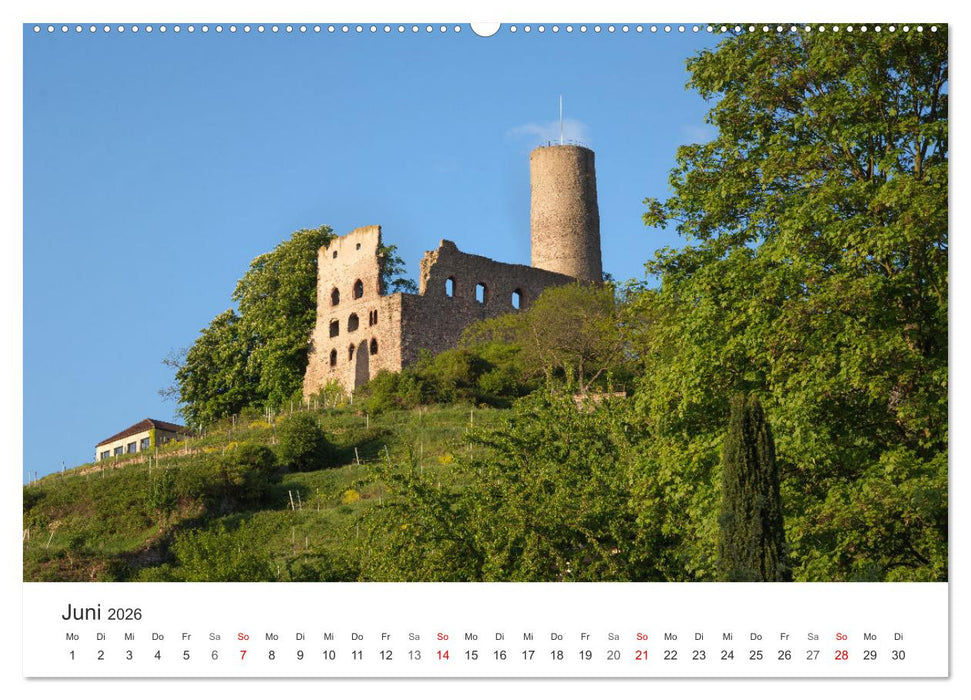 Schriesheim an der Bergstraße - Impressionen aus Stadt und Natur (CALVENDO Wandkalender 2026)