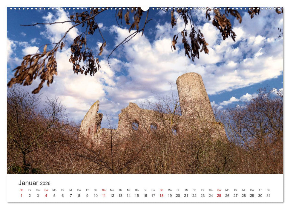Schriesheim an der Bergstraße - Impressionen aus Stadt und Natur (CALVENDO Premium Wandkalender 2026)