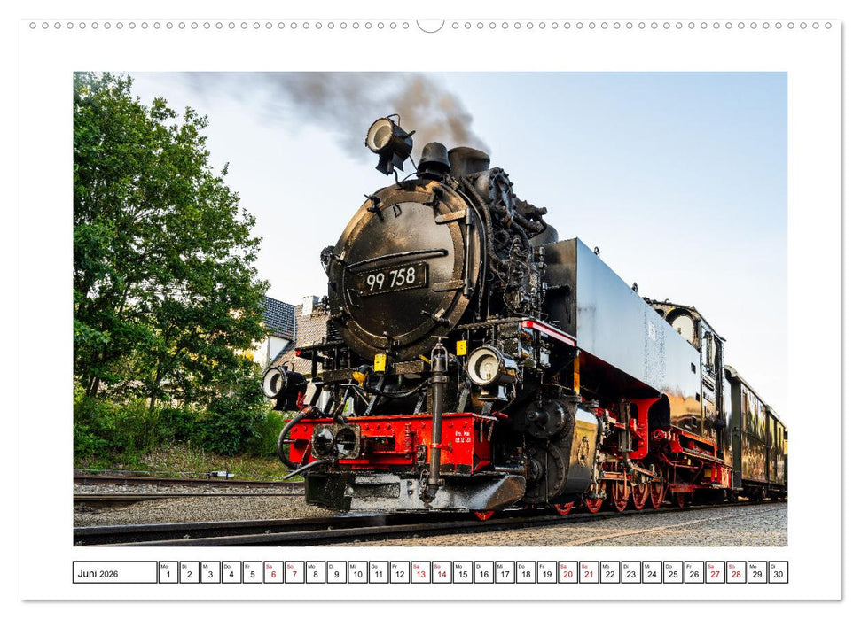 Von Bad Muskau zur Rakotzbrücke ins Zittauer Gebirge (CALVENDO Wandkalender 2026)