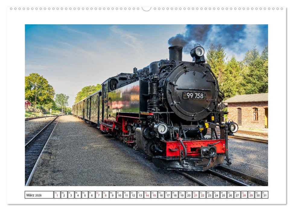 Von Bad Muskau zur Rakotzbrücke ins Zittauer Gebirge (CALVENDO Premium Wandkalender 2026)