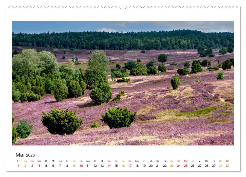 Niedersachsen - Meer, Heide, Harz (CALVENDO Wandkalender 2026)