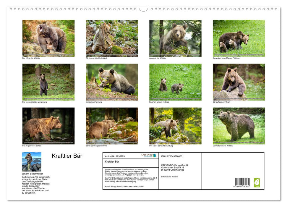Krafttier Bär (CALVENDO Wandkalender 2026)