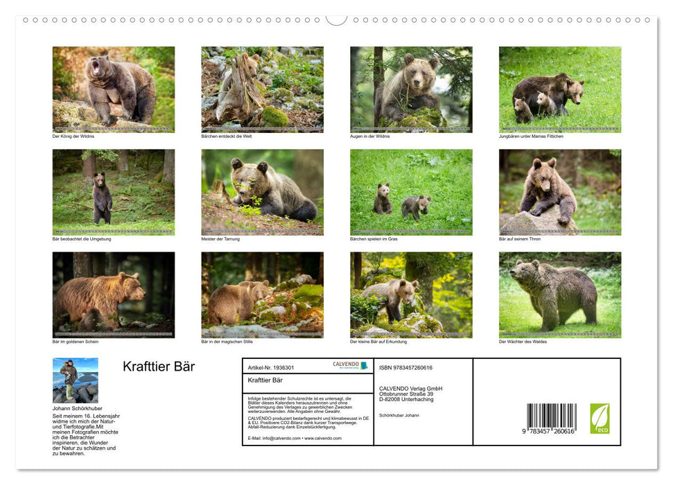 Krafttier Bär (CALVENDO Premium Wandkalender 2026)