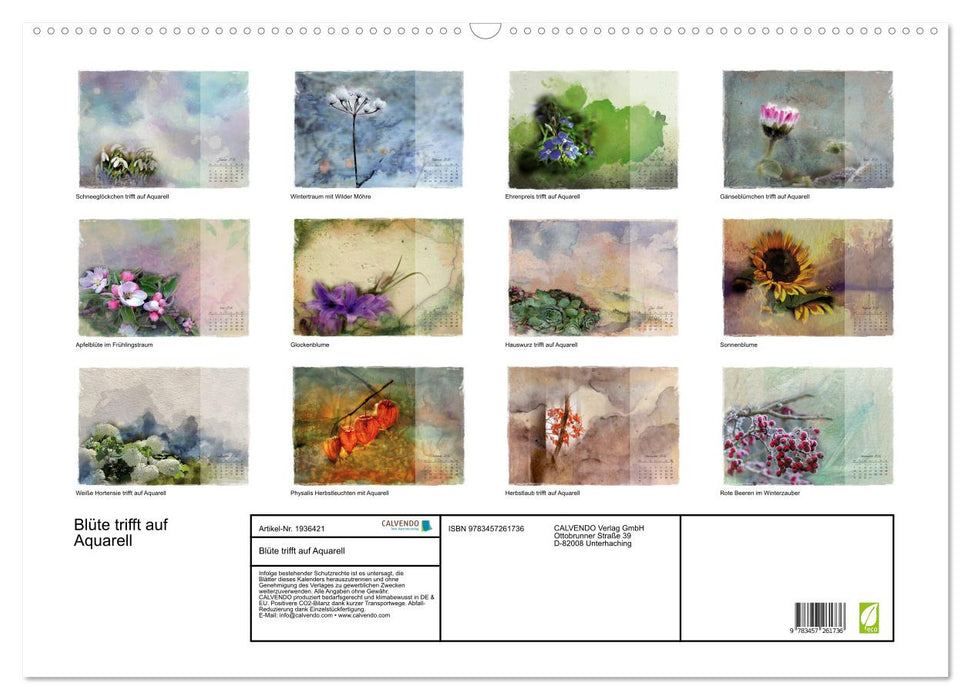Blüte trifft auf Aquarell (CALVENDO Wandkalender 2026)