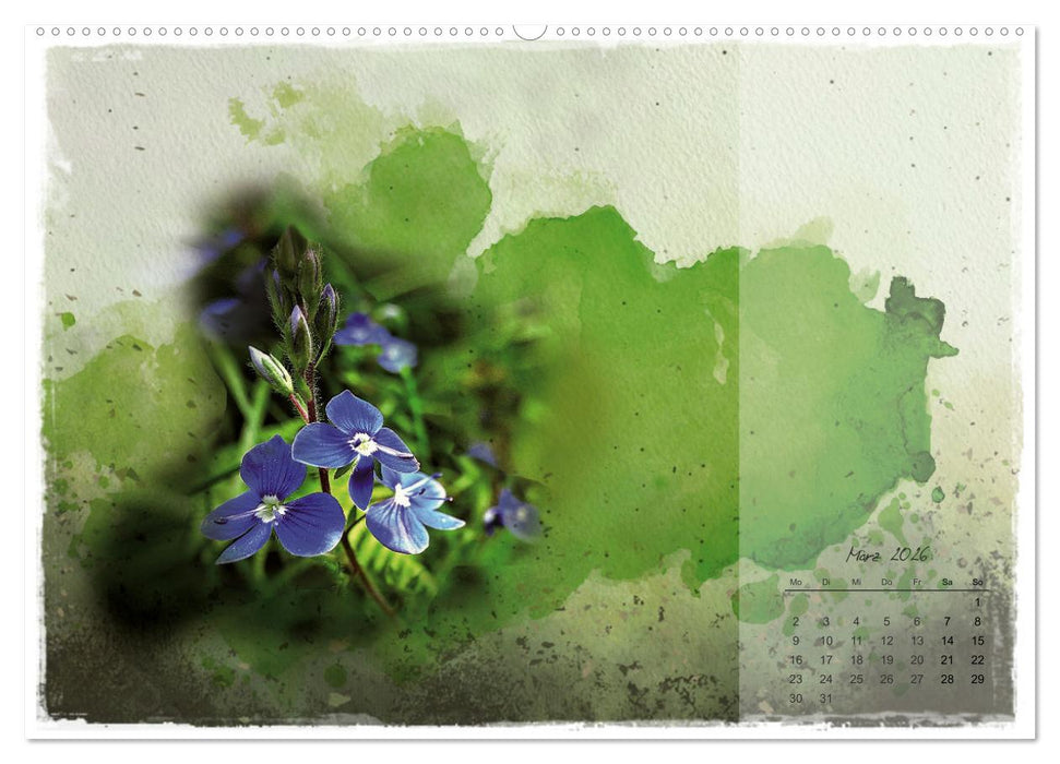 Blüte trifft auf Aquarell (CALVENDO Wandkalender 2026)