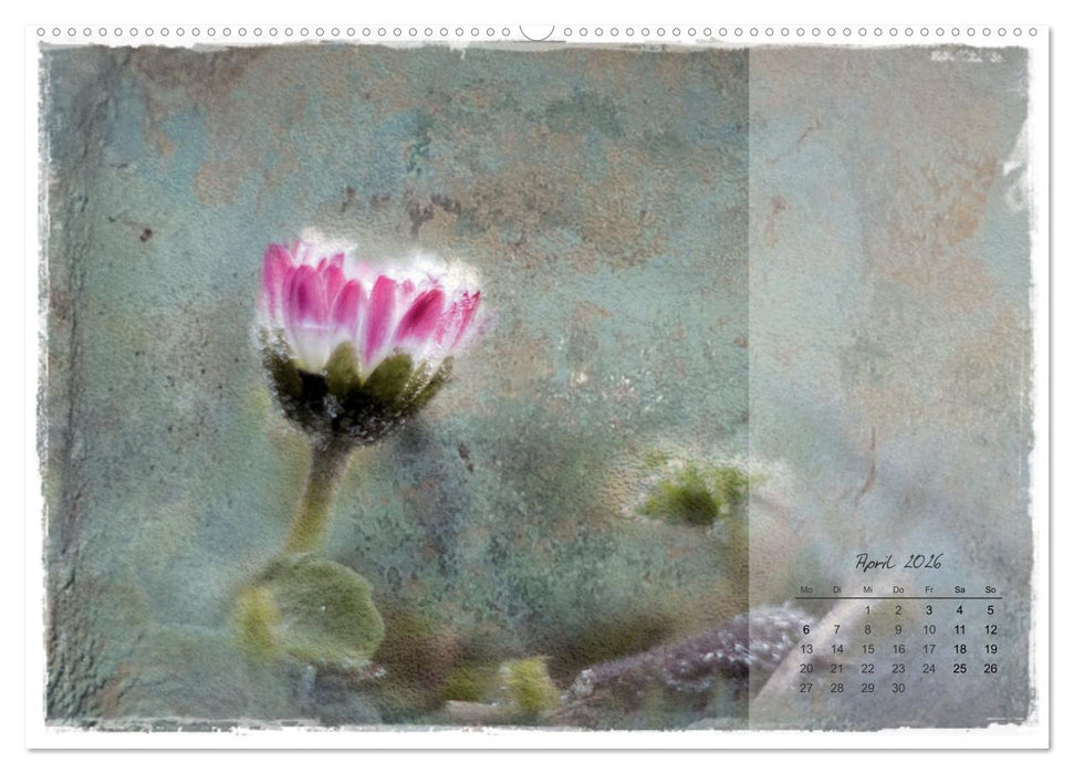 Blüte trifft auf Aquarell (CALVENDO Wandkalender 2026)